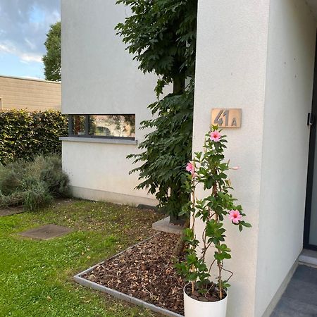 La Suite Cosy - Votre Pause Arboree La Bruyere Zewnętrze zdjęcie