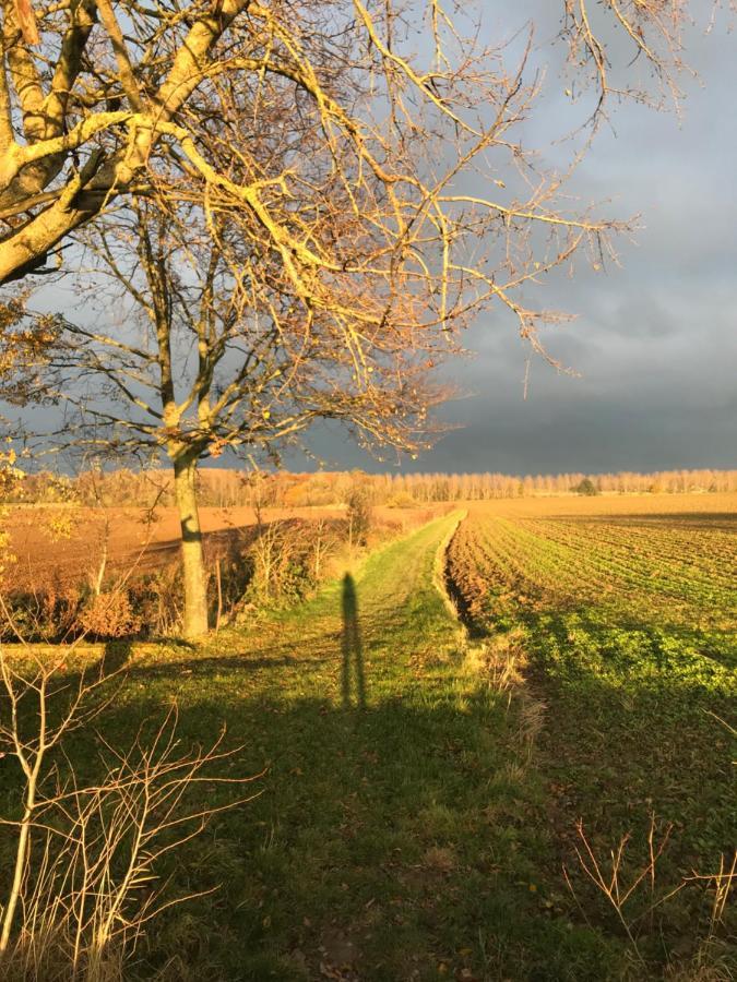 La Suite Cosy - Votre Pause Arboree La Bruyere Zewnętrze zdjęcie