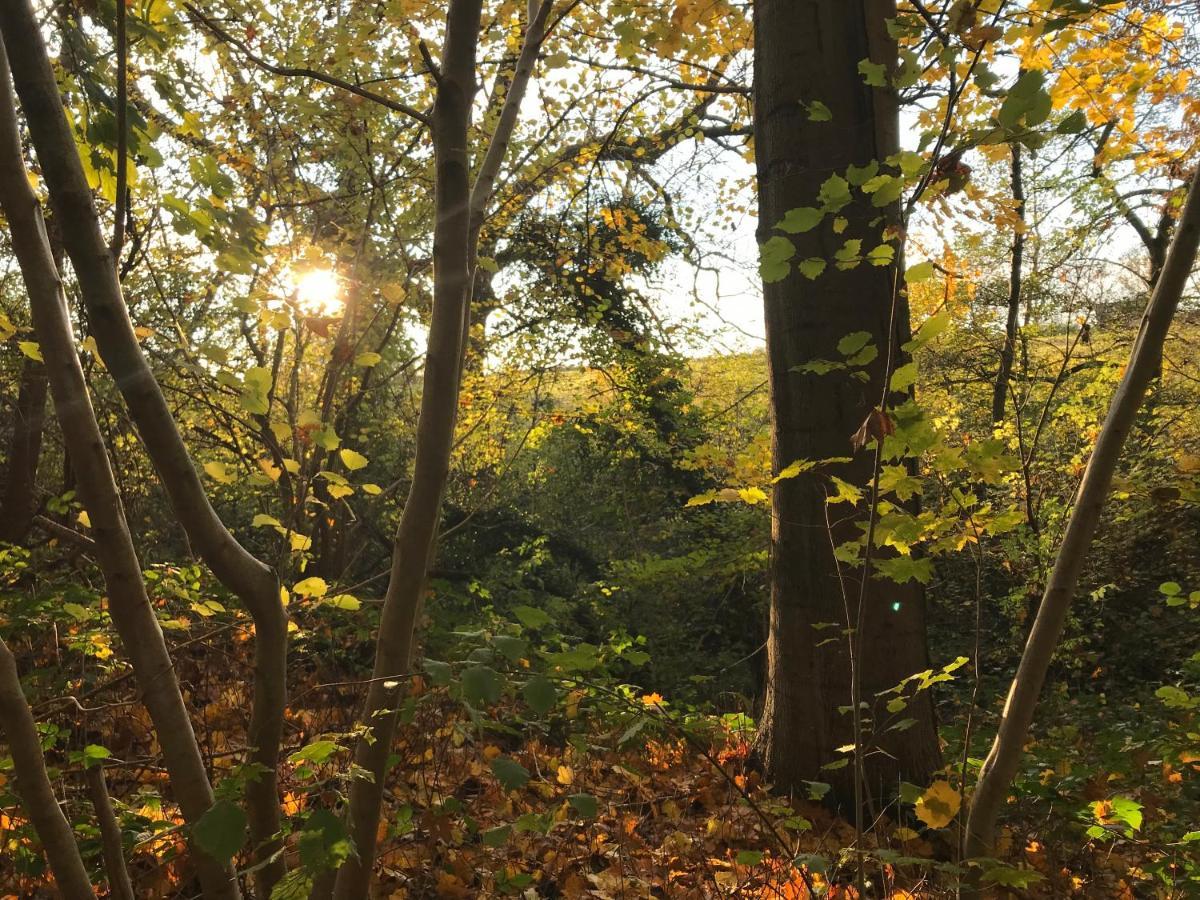 La Suite Cosy - Votre Pause Arboree La Bruyere Zewnętrze zdjęcie